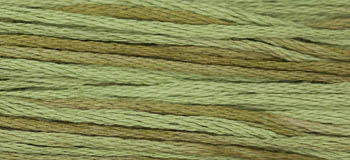 Celadon